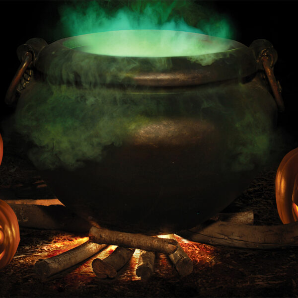 Pumpkins and caldron, representing Descanso Gardens Carved 2024 Halloween tour.